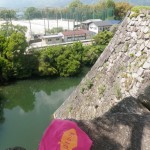上野城にて日本一高いという石垣とピンクのマグロエコバック